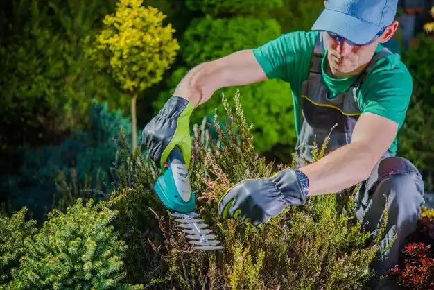 landscaping services Minoa